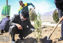 گزارش تصویری |  آیین غرس نهال و تجلیل از پرسنل زحمتکش فضای سبز و باغبانی دانشگاه صنعتی شاهرود  